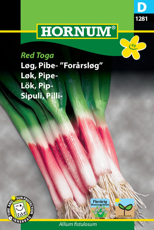 Bunching onion 'Red Toga'