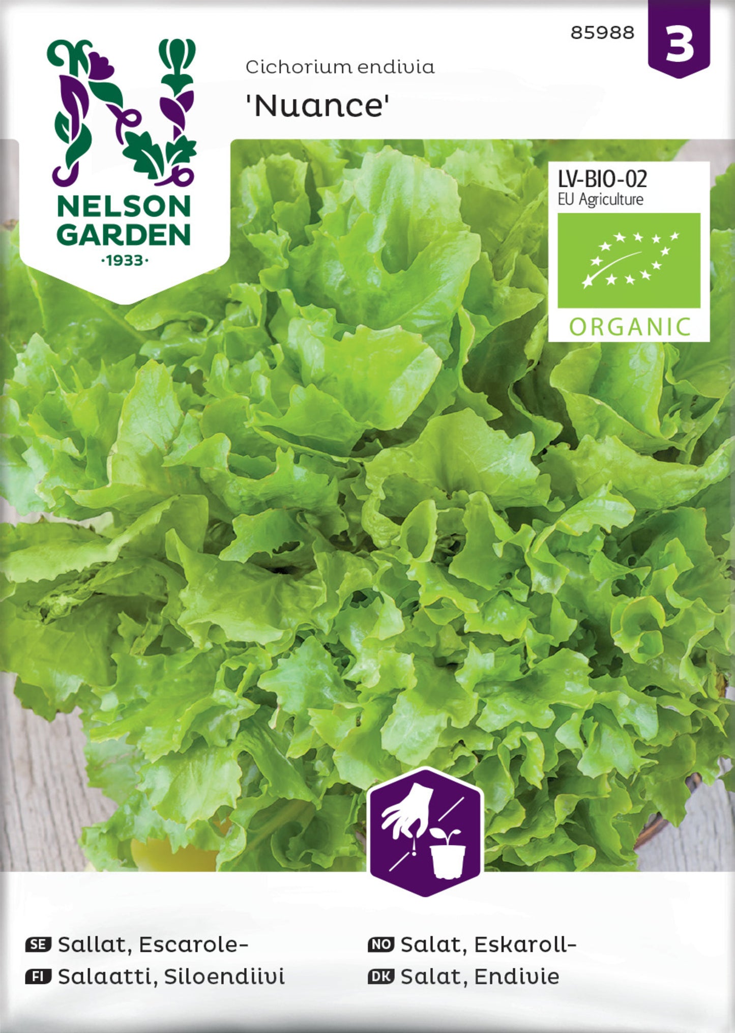 Package of 'Nuance' organic escarole chicory seeds by Nelson Garden, displaying the seeds and a photo of the mature plant with lobed leaves.