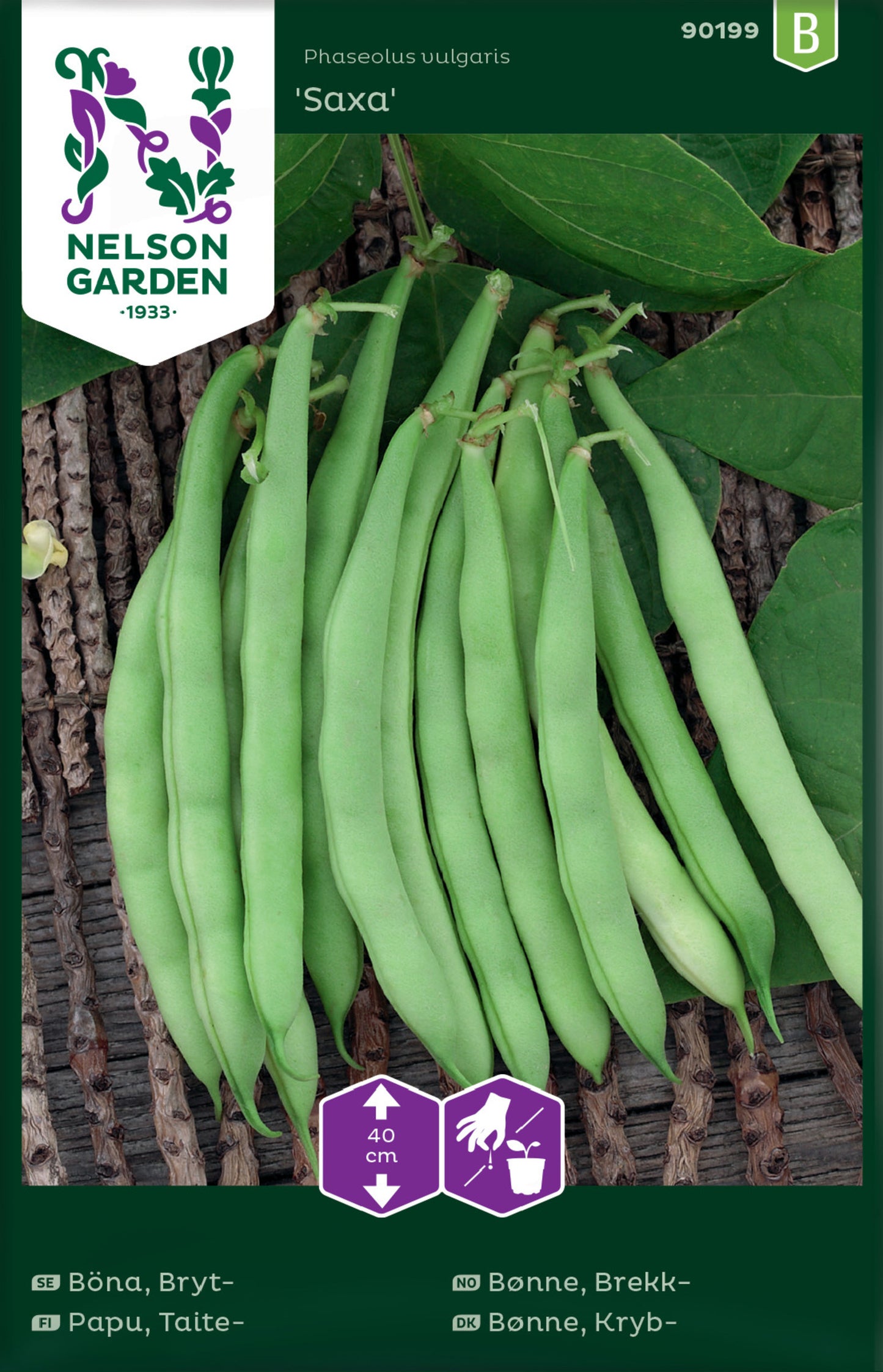 Packaging for bush bean Saxa from Nelson Garden with a photo of harvested pale green beans in an outside setting