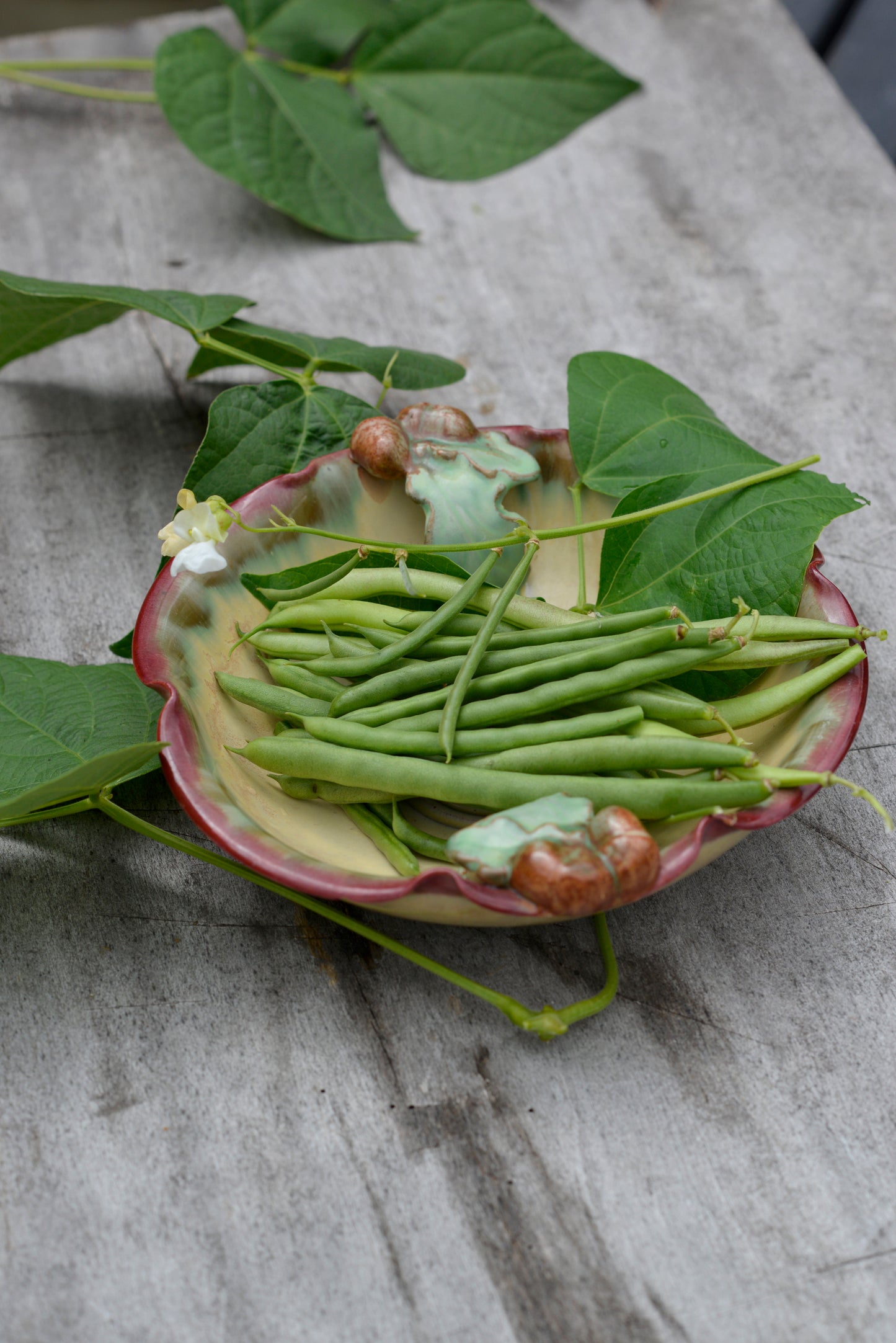 A bowl of harvested green beans on a wooden table with some bean leaves