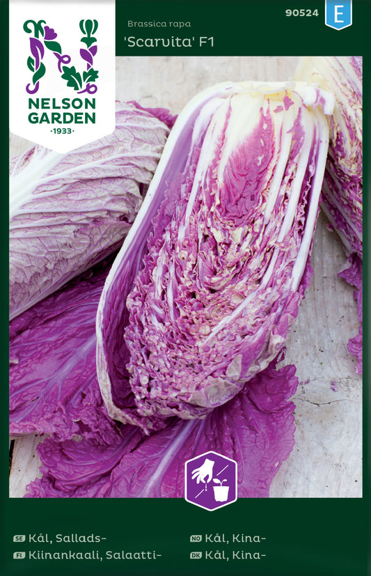 Chinese cabbage 'Scarvita' F1