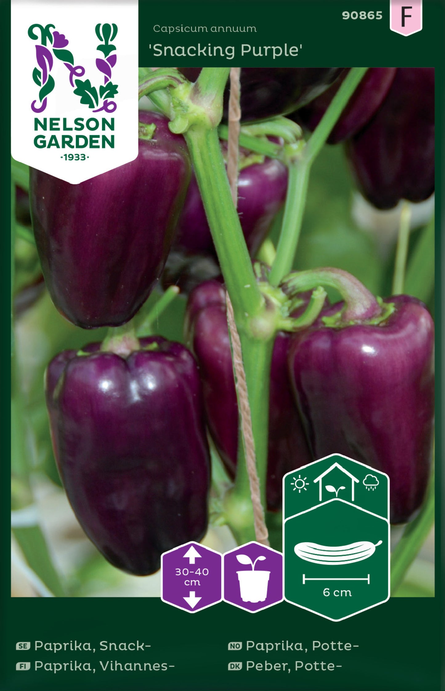 Package of bell pepper seeds Snacking Purple from Nelson Garden showing several purple peppers on the plant
