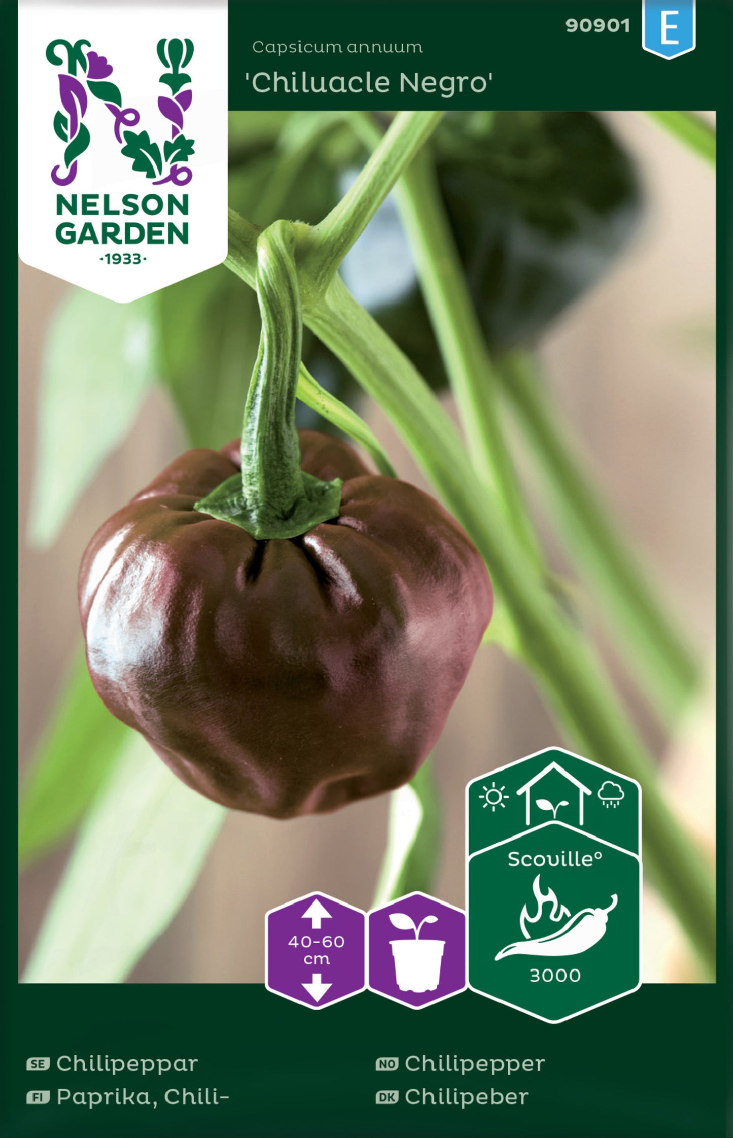 A product image featuring a 'Chiluacle Negro' chili pepper plant with a large, dark purple fruit on it, alongside icons indicating the plant's characteristics such as its Chili Pepper status, and a label with the Nelson Garden brand.