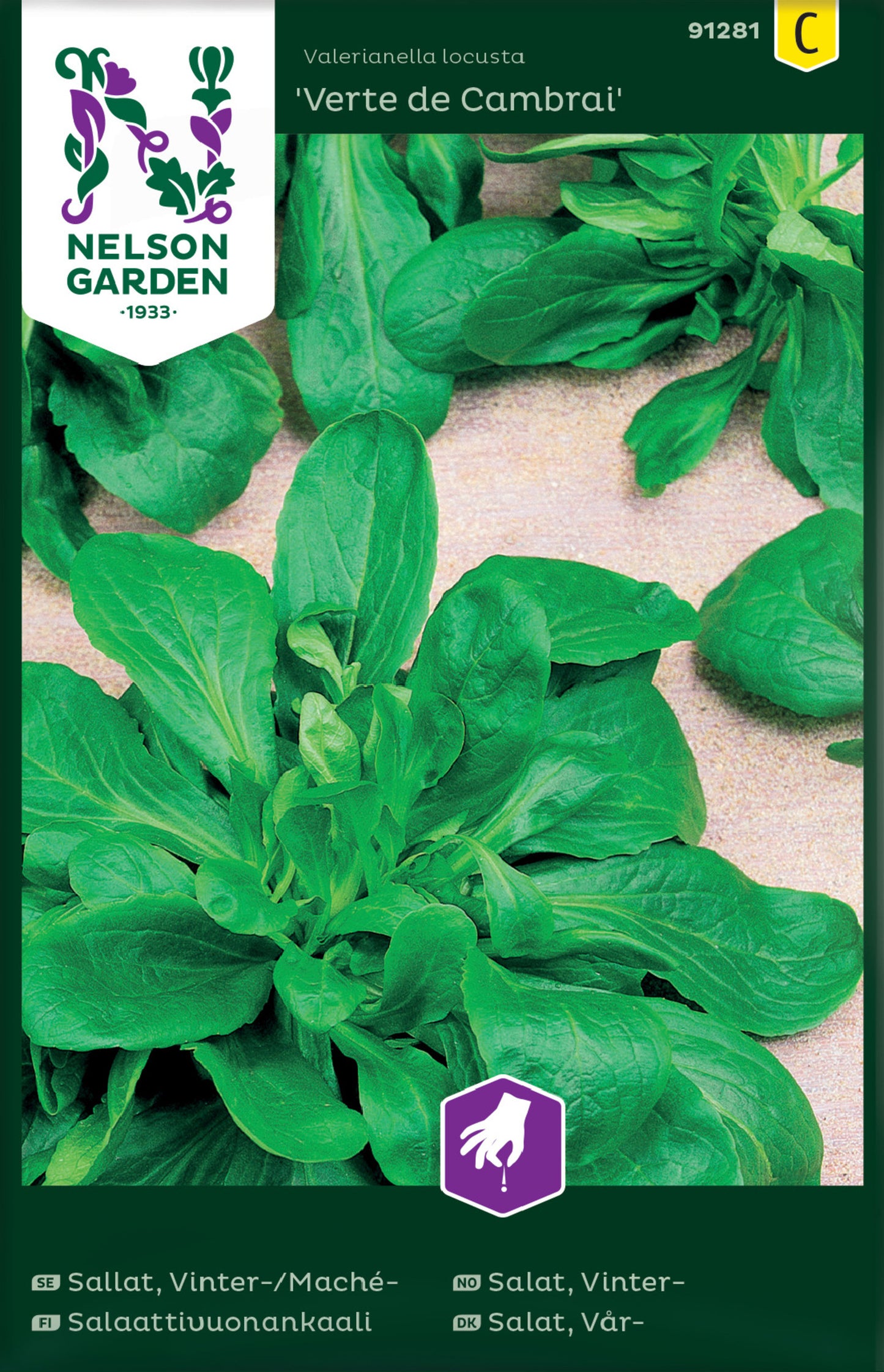 Packaging of 'Verte de Cambrai' lamb's lettuce seeds featuring images of the leafy green vegetable.