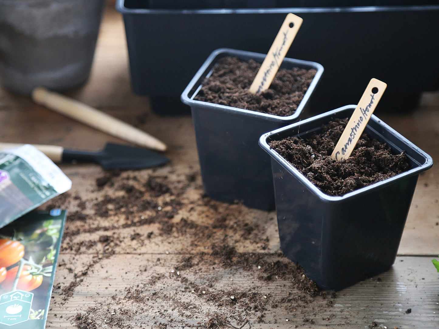 Two small seed pots each with a plant marker in it, on a table with dirt and seed starting tools