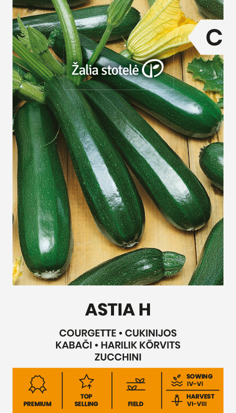 Squash / courgette 'Astia' F1