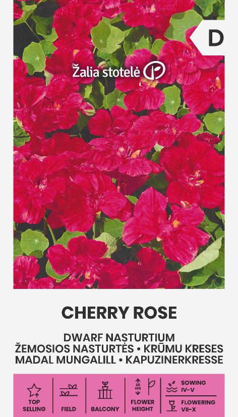 Dwarf nasturtium 'Cherry Rose'