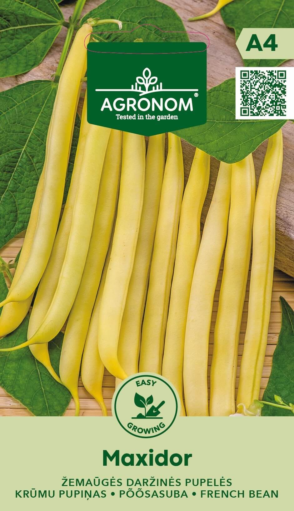 Dwarf Wax bean 'Maxidor'