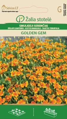 Marigold 'Golden Gem'