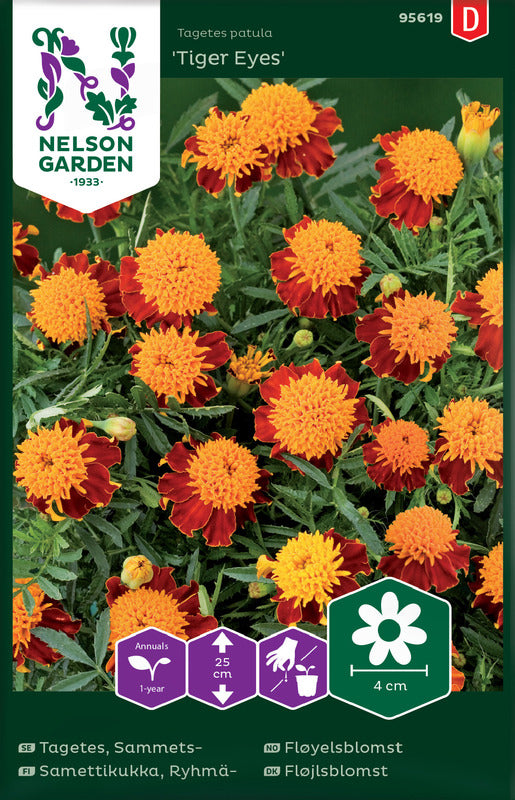 Marigold 'Tiger Eyes'
