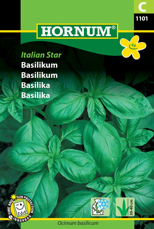 Basil 'Italian Star'
