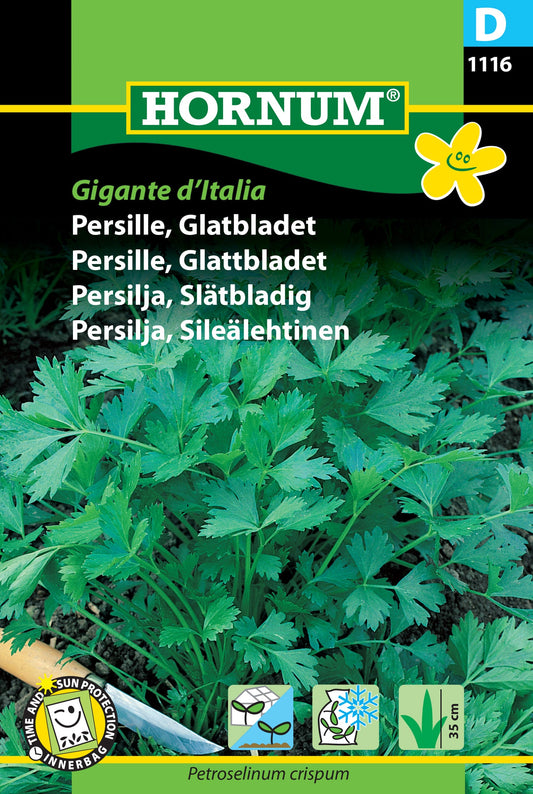 Parsley, flat leaf, 'Gigante d'Italia'