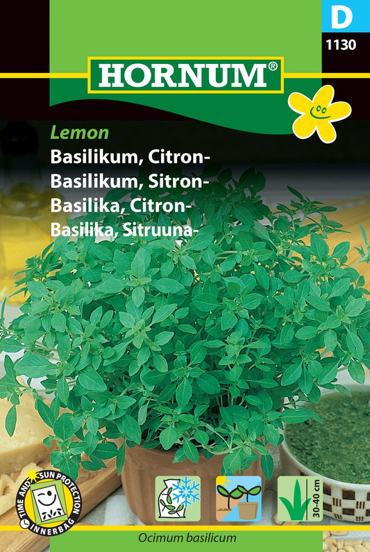 Lemon Basil 'Lemon'