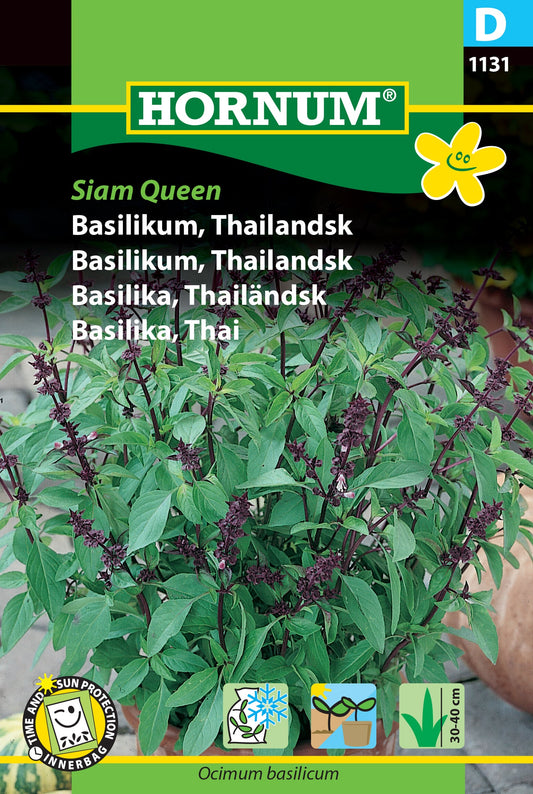 Thai Basil 'Siam Queen'