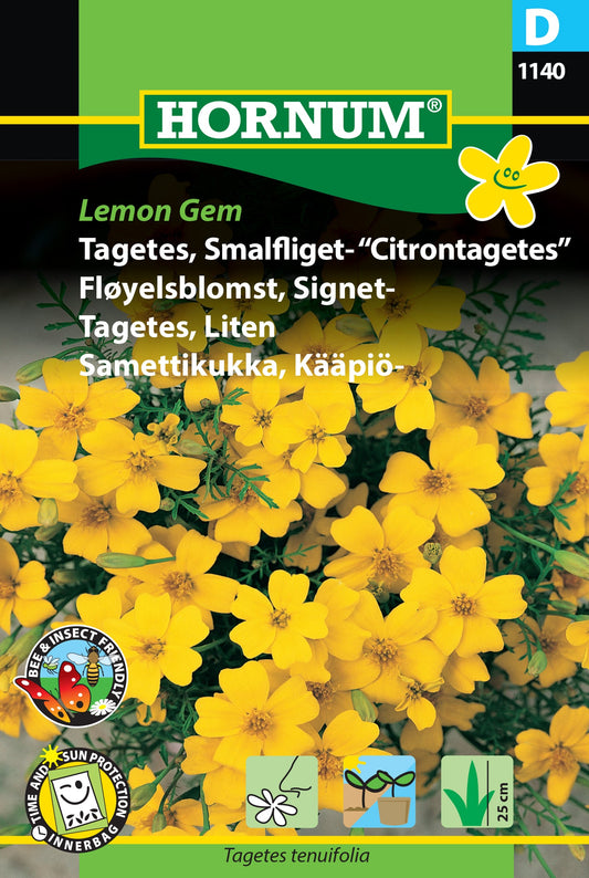 Marigold 'Lemon Gem'