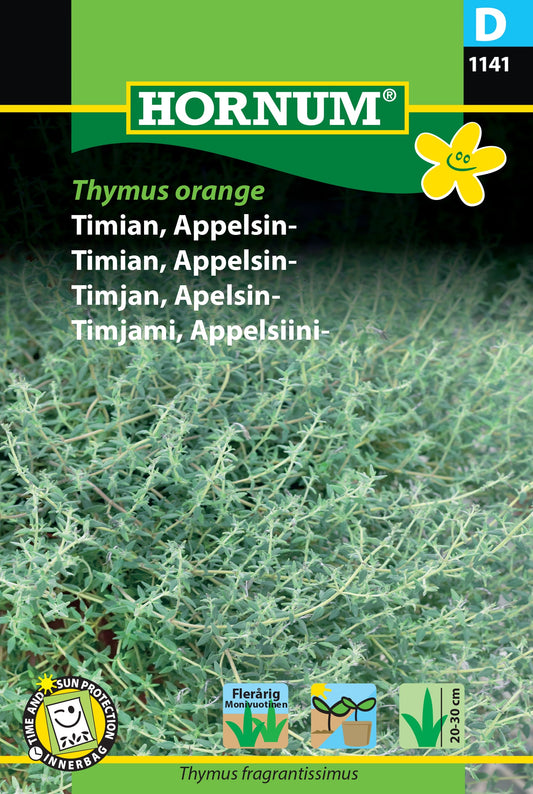 Timjan 'Thymus Orange'