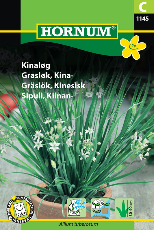 Chinese chives