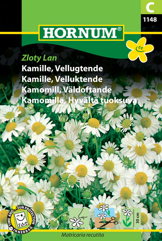 Camomille 'Zloty Lan'