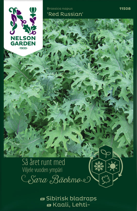 Kale 'Red Russian'