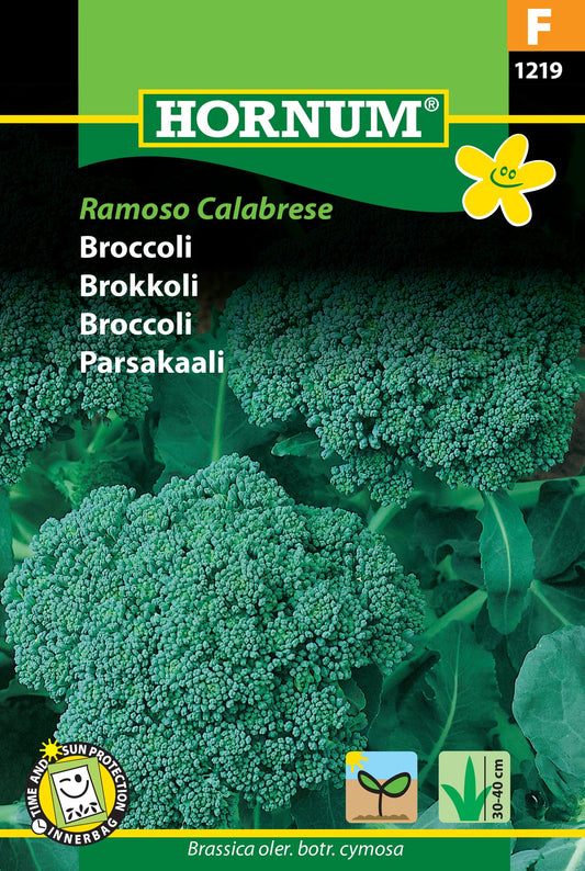 Broccoli 'Ramoso calabrese'