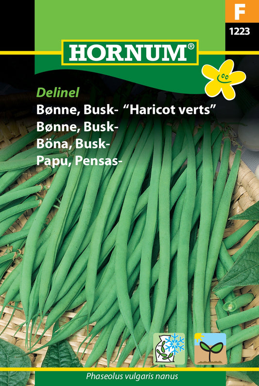Bush bean 'Delinel'/Haricot Verts