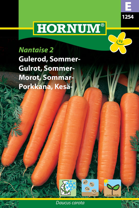Carrot 'Nantaise 2'