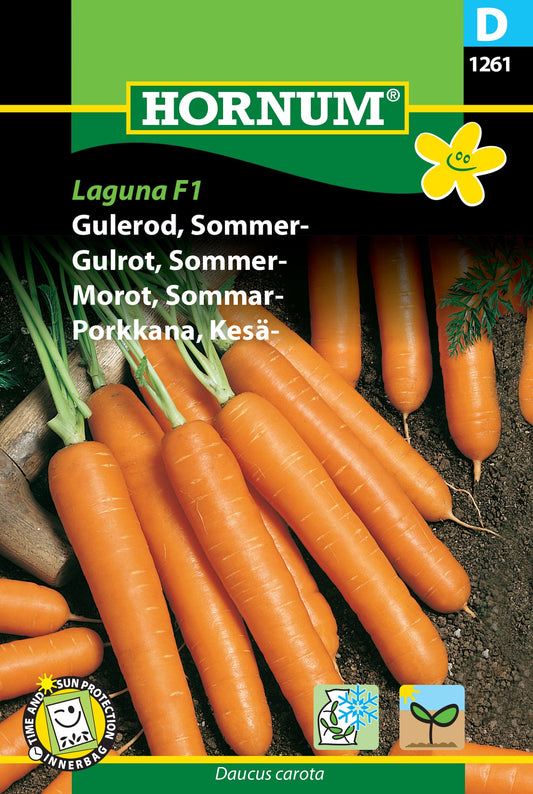 Carrot, Summer 'Laguna F1'