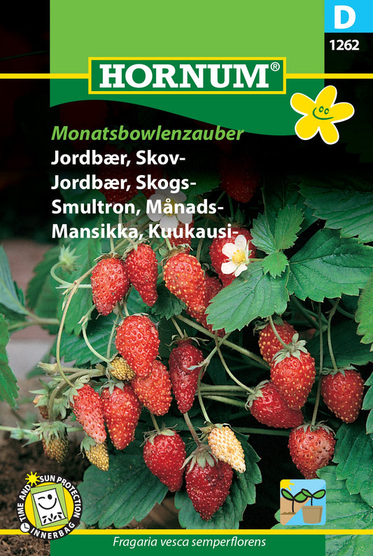 Wild strawberry 'Monatsbowlenzauber'