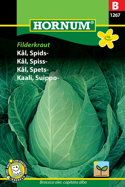 Cabbage 'Filderkraut'
