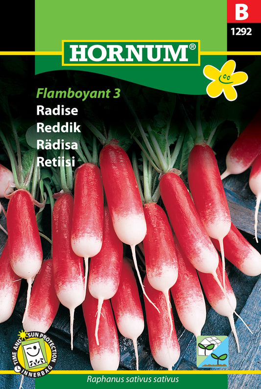Radish 'Flamboyant 3'