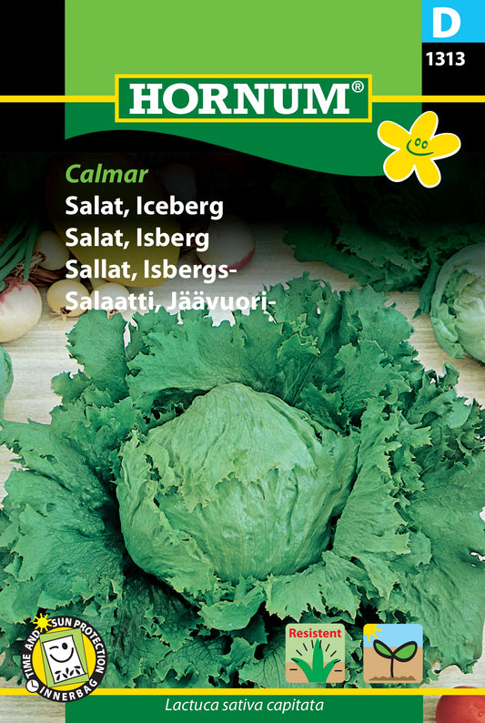 Lettuce 'Calmar'