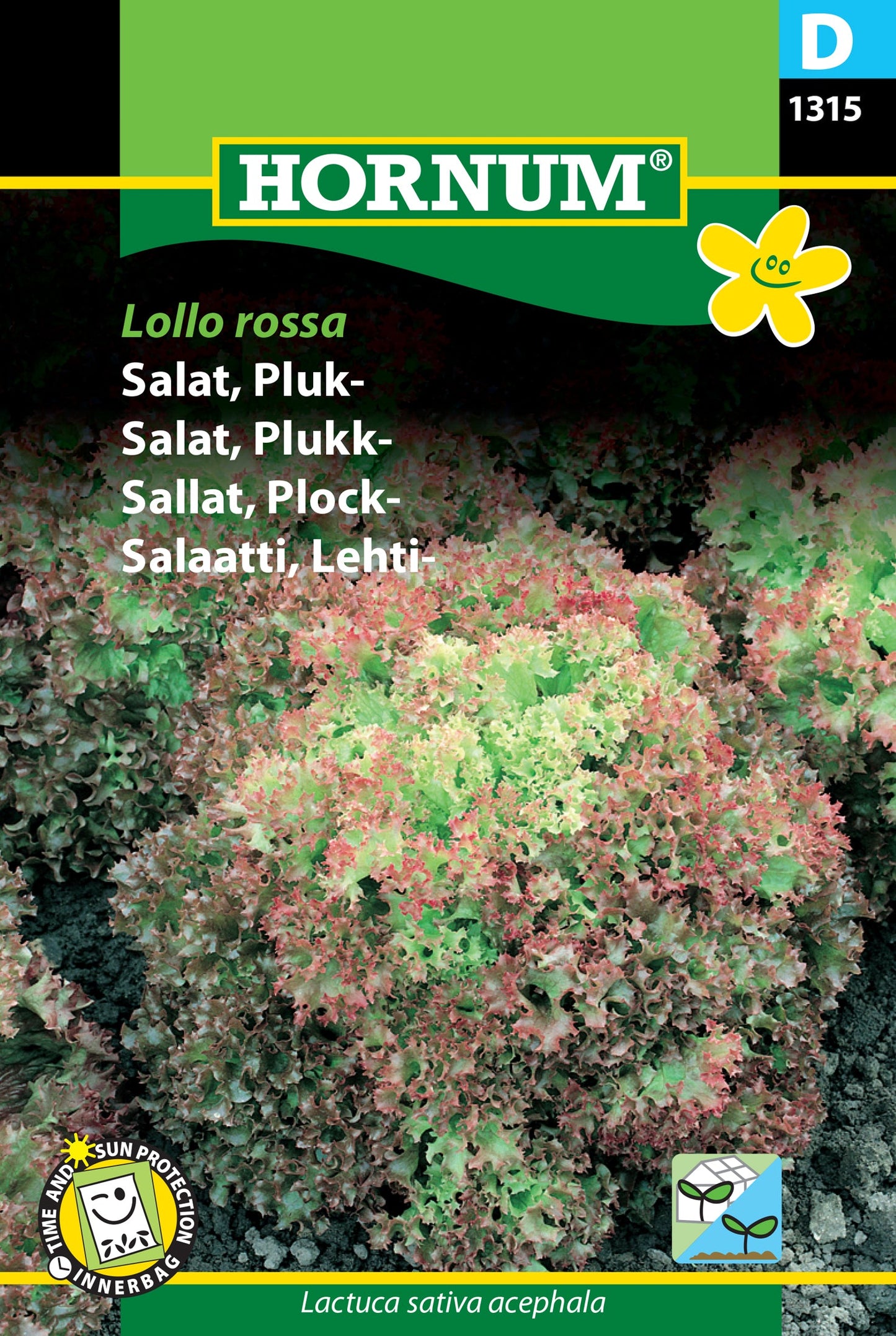 Lettuce 'Lollo Rossa'