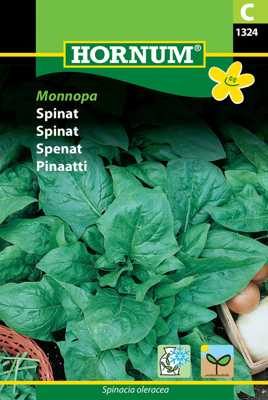 Spinach 'Monnopa'