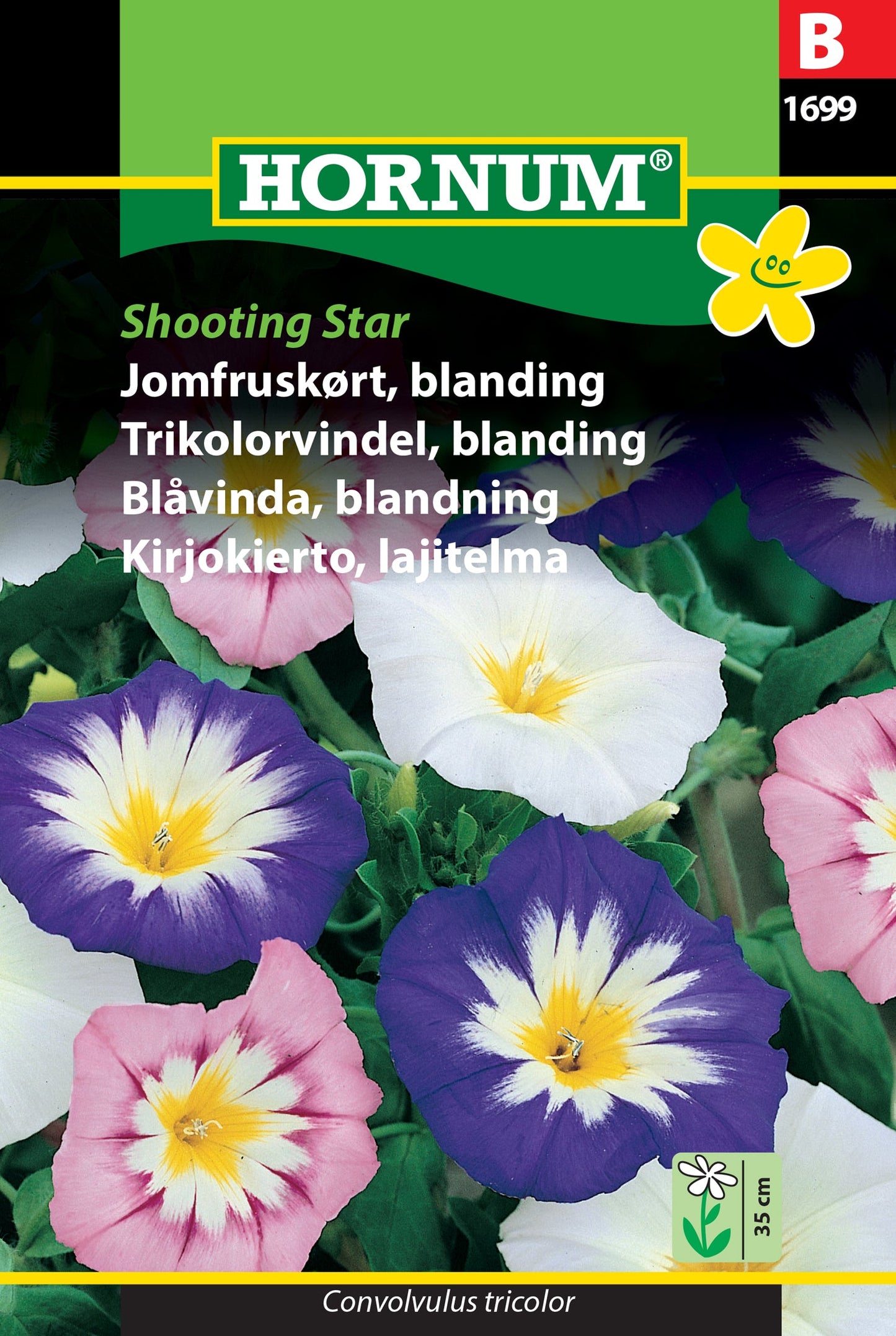 Morning glory, dwarf 'Shooting Star' mix