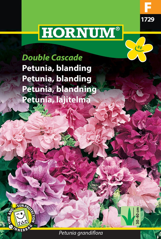 Petunia 'Double Cascade' mix