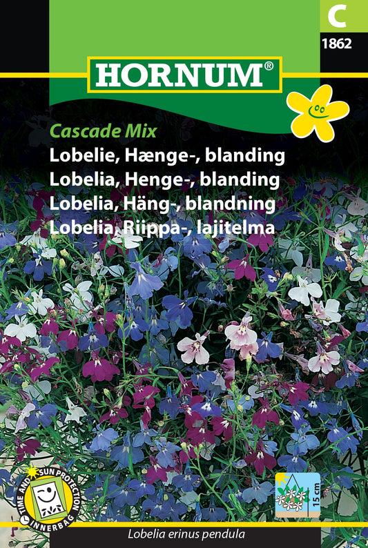 Lobelia 'Cascade' mix