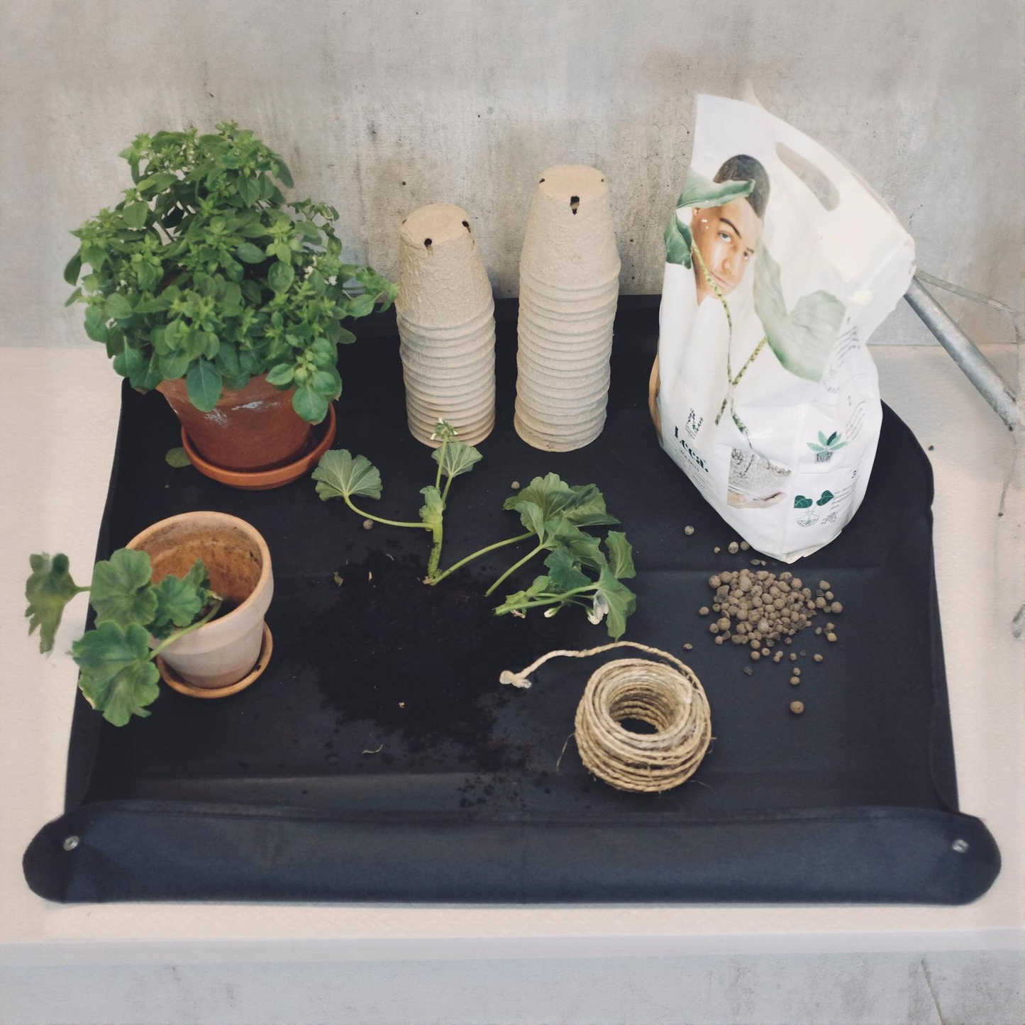 Plant repotting mat