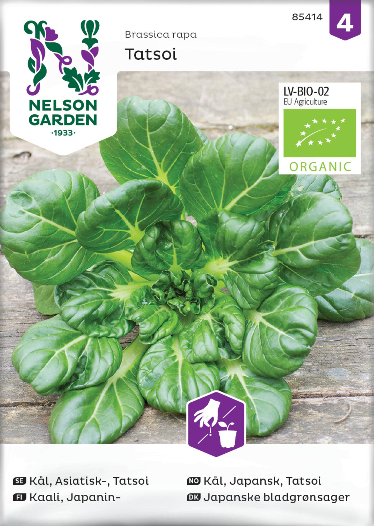 Japanese greens 'Tatsoi', organic