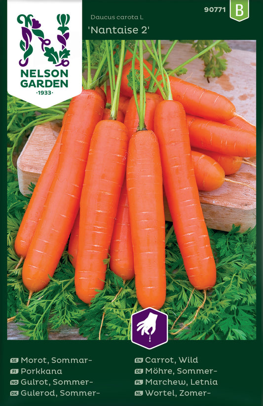 Carrot 'Nantaise 2'