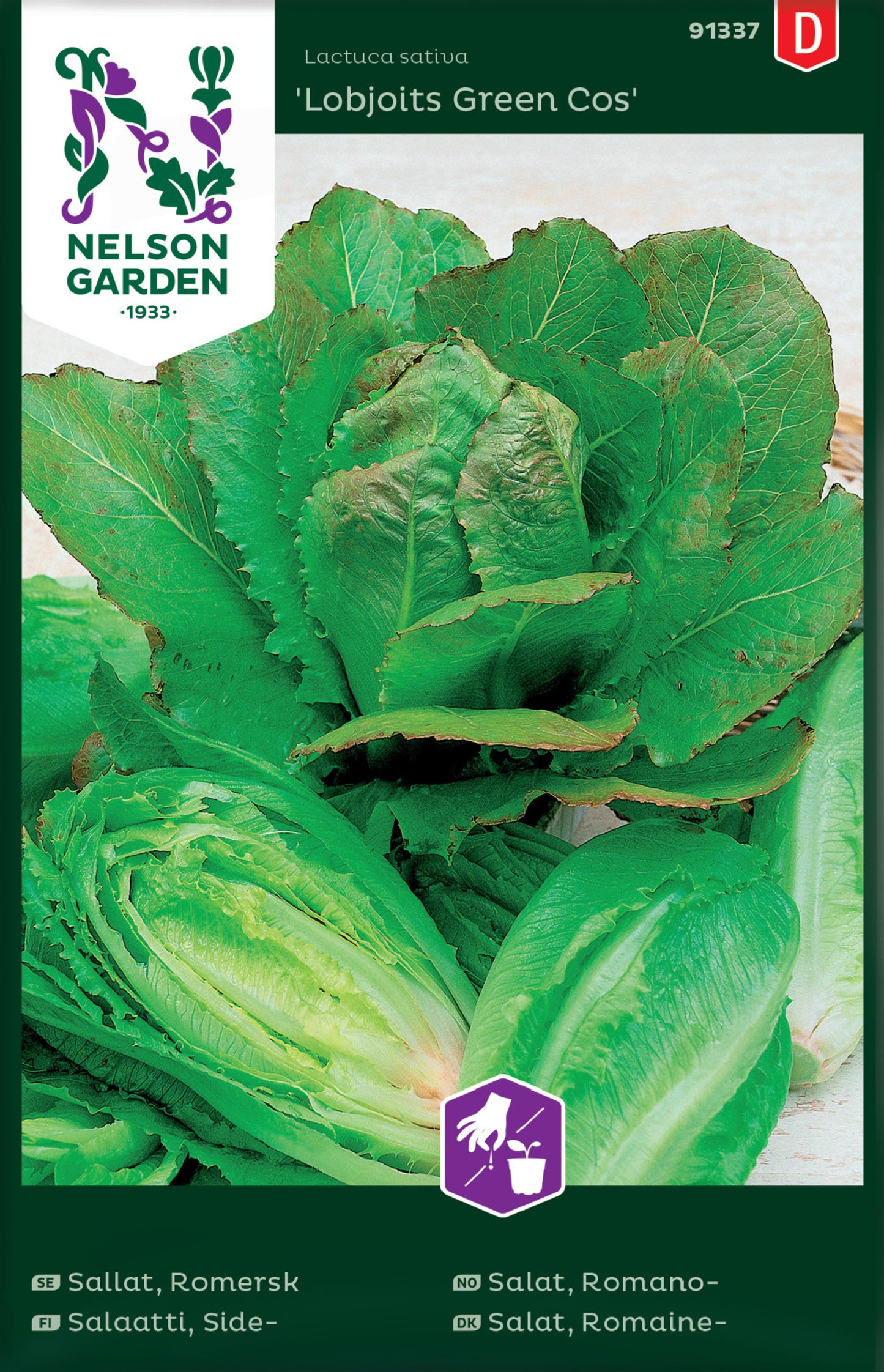 Lettuce 'Lobjoits Green Cos'