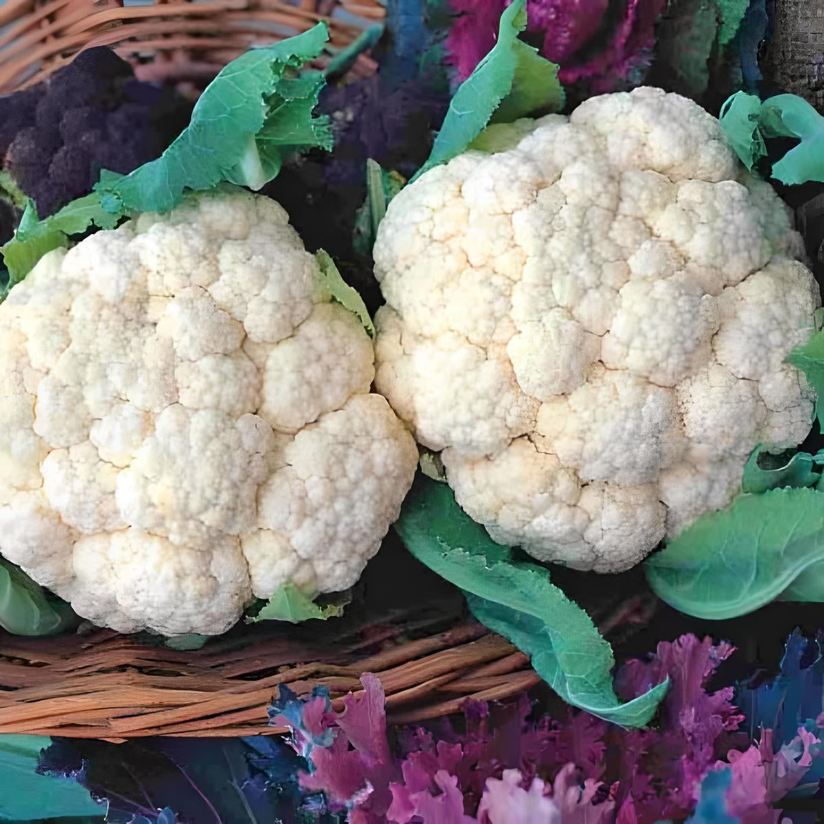 Cauliflower 'Snowball'