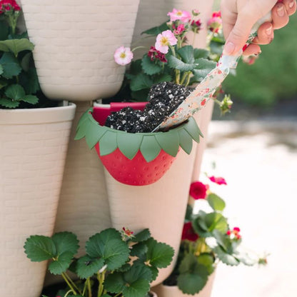 Berry Cups - set of 6
