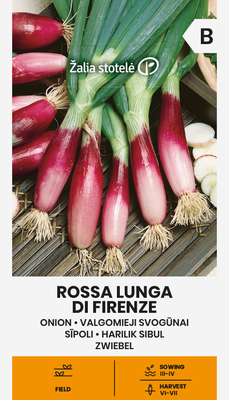 Onion 'Rossa Lunga Di Firenze'