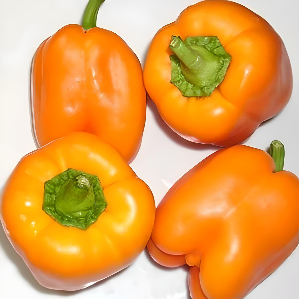 Bell pepper 'Orange Bell'