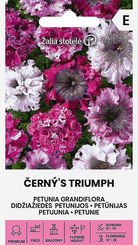 Petunia Grandiflora Černý´s Triumph