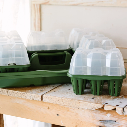 GreenStalk Seed Starter kit with Domes
