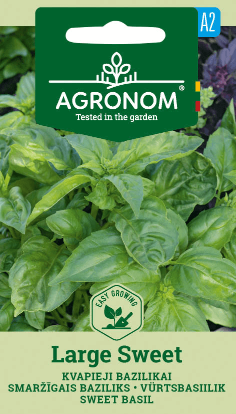 Basil Large Sweet