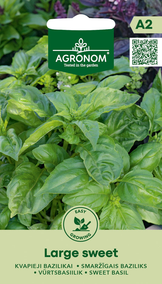 Basil Large Sweet
