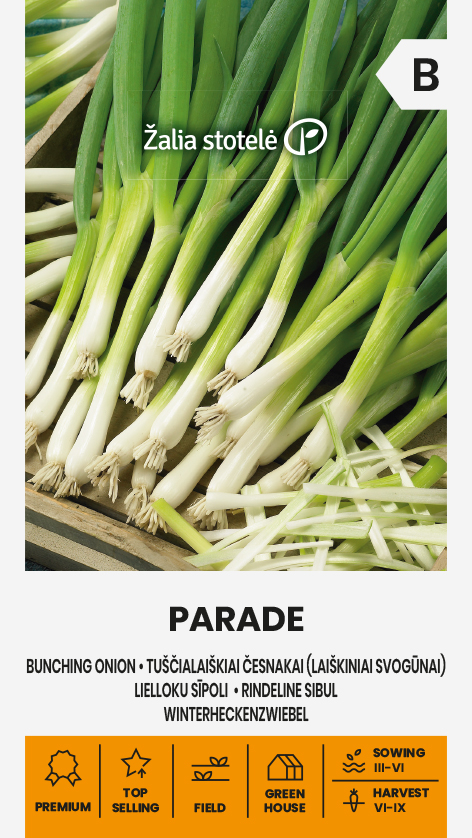 Bunching onion 'Parade'