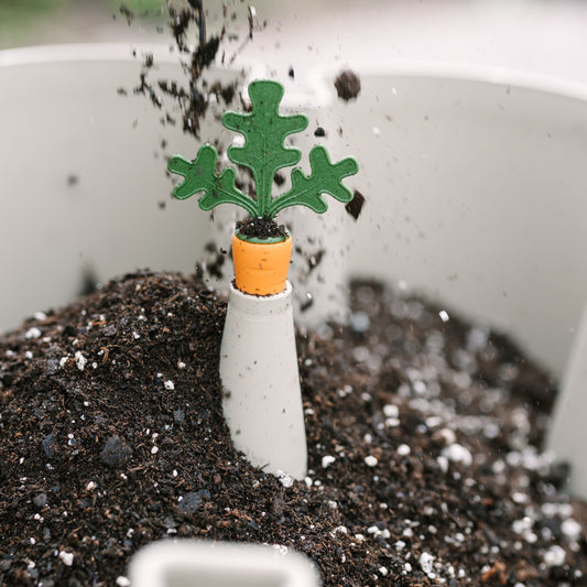 Carrot Caps - set of 4